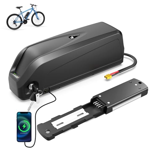 Ebike Akku mit Smart BMS, E Bike Aakku mit Schnellladegerät, USB-Anschluss, DE-Lager, 36V 25Ah...