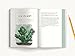 Succulents: An Illustrated Field Guide
