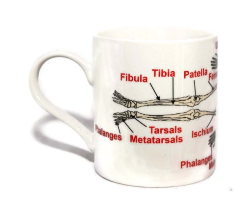 Il Umano Scheletro Tazza di Porcellana