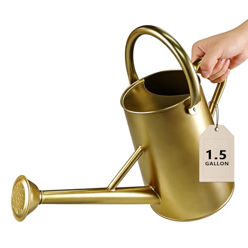 Watering Can for Outdoor&Indoor Plants，1.5 Gallon（5.7L） Metal Watering Can with with Removable Spout，Large Galvanized Steel Garden Flower Water Can Watering Pot with 2 Handles，Gold by shopwithgreen - Used condition - US$25.43