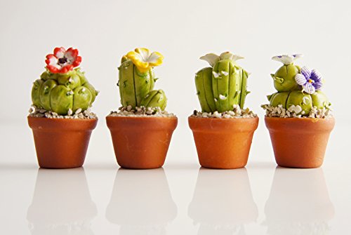 Proudnature - Set Di 4 Vasi In Ceramica Con Cactus In Miniatura Scala 1:12 Per Giardino Fatato