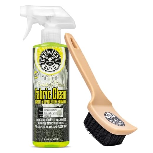 Chemical Guys, Citrus Fabric & Carpet Cleaner Spray with Brush Kit, 16 oz