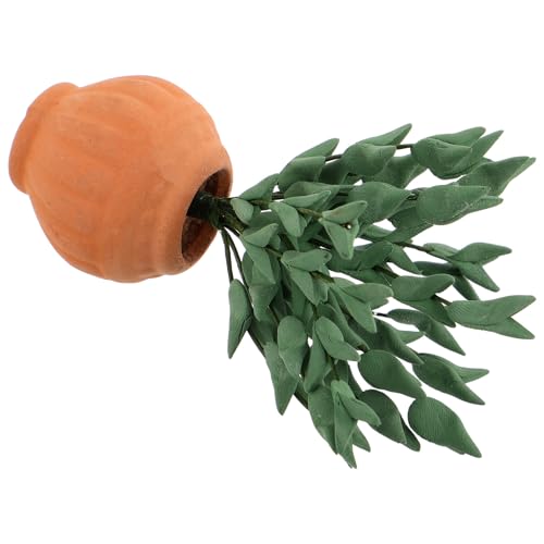 CORHAD ~j`ASyAؔ h[nEXp~͖͌^ SyAf ƑV mƐeq𗬑ifXN