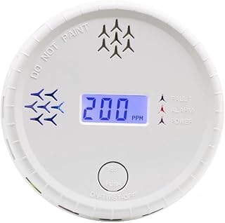 Der Kohlenmonoxid-Monitor, tragbarer Kohlenmonoxid-Alarm für den Haushalt, entspricht EN50291