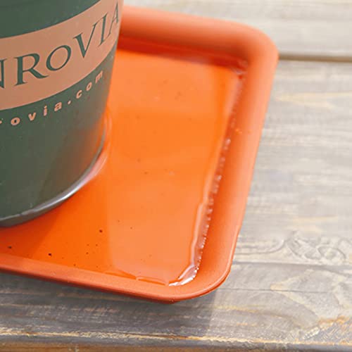 Kizqyn Planter Caddies Frosted Resin Thickened Plastic Rectangular Flower Pot Tray Pot Holder Water Tray Flower Pot Base Tray Flower Tray Base Movable Planter Stand (Color : Black, Size : 400#) #TOP2