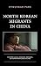North Korean Migrants in China: Whether Illegal Migrants, Refugees, or Human Trafficking Victims
