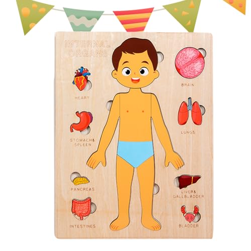 Xijobido Corpo humano para crianças | puzzle educativo do corpo humano de madeira | brinquedos educativos precoces para escola casa viagem meninos meninas adolescentes