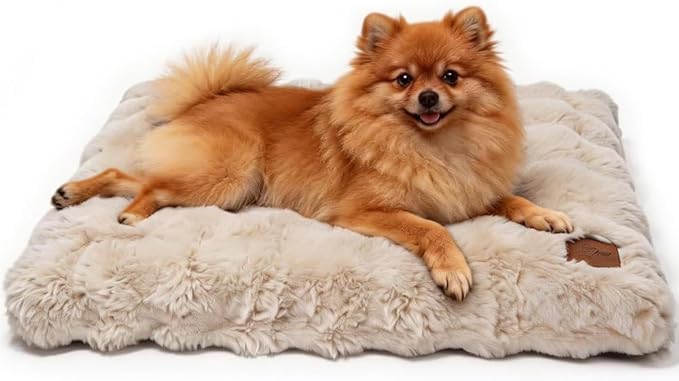 BingoPaw Hundebett mittelgroße Hunde waschbar: Hundekissen flauschig Hundematte für kleine Hund, wasserdicht Hundematratze mit abnehmbar Plüsch Bezug und rutschfest Unterseite, Beige, 76x51x10 cm