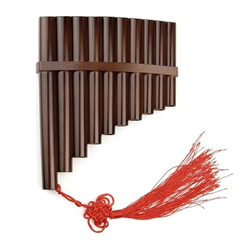 Amazon | 初心者用パンフルート 中国の伝統楽器 10本のパイプ パン