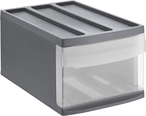 Systemix Cassettiera 1 Cassetto PP senza BPA M 39.5 x 25.5 x 20.3 cm antracite plastica grigio