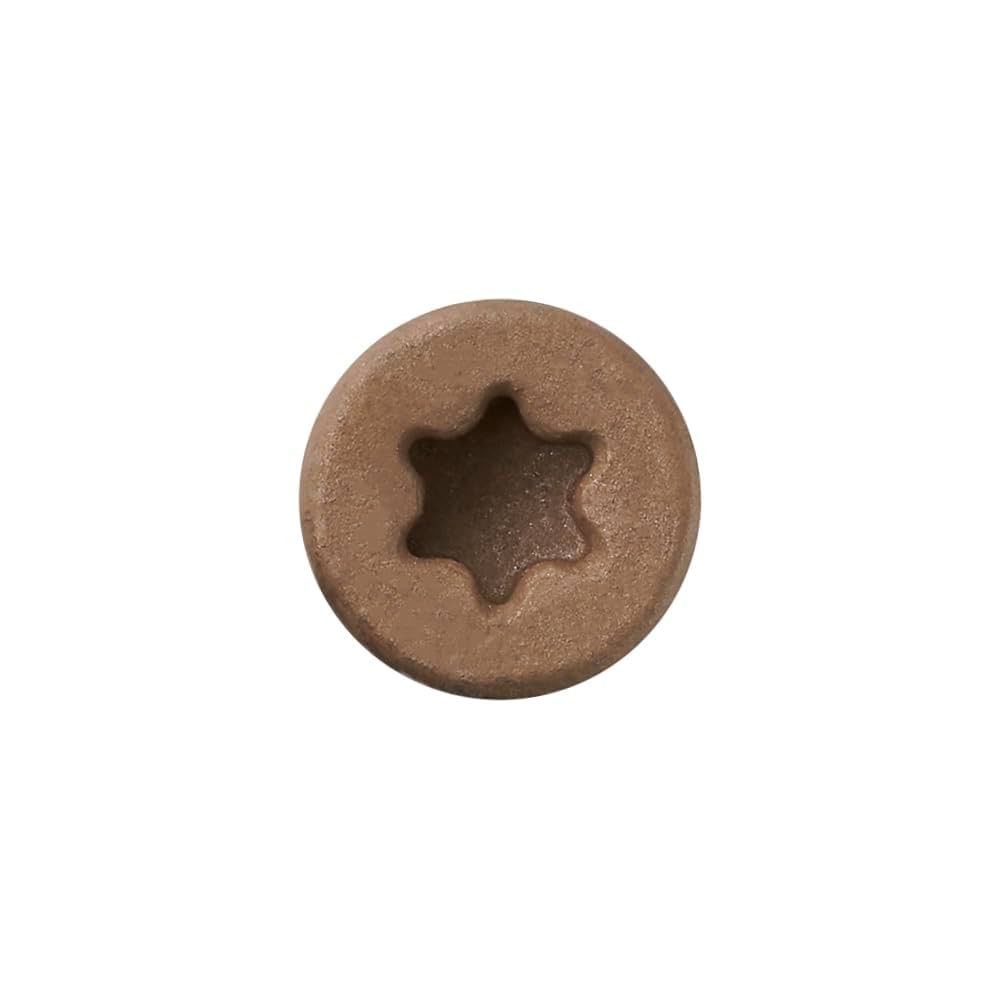 てつぶり Wood Screw,Star Drive,Torx 25, Type 17 Slot Point,Wood Screw