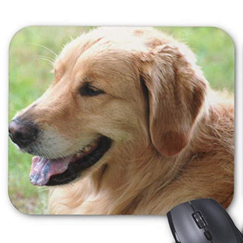 Preisvergleich Produktbild Golden Retriever Pup Mouse Pad