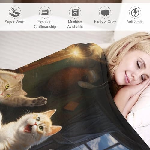 Manta de gato para sofá y tardes de cine en casa con confort 4