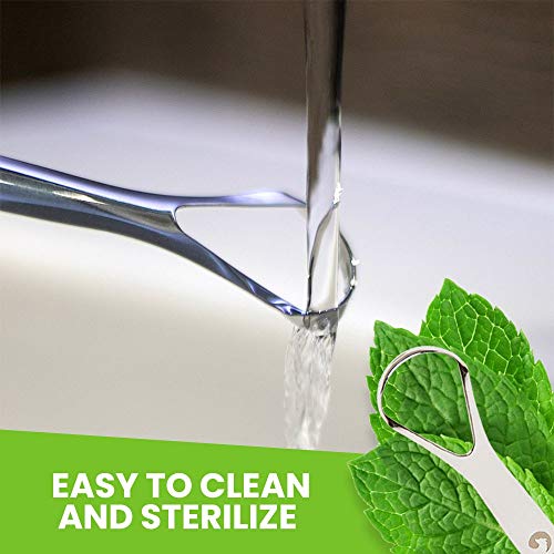 image for EcoFox Tongue Scraper (2 Pack with Case) | Reduce Bad Breath (Medical 