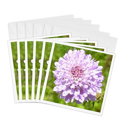 Lot de 6 cartes de vœux 3dRose 15x15 cm pour écrire vos messages
