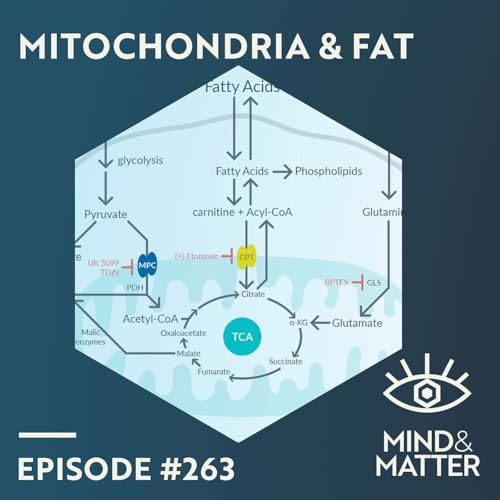 How & Why Mitochondria Make Their Own Fat | Sara Nowinski | 263 Podcast Por  arte de portada