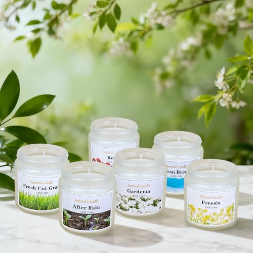 Aeraroma Frühling Duftkerze im Glas, 6er Duftkerzen Set für Frauen Männer, 600g Natürliche Sojawachs Kerze Set fürs Zuhause Duftende, Duftkerzen Geschenk für Geburtstag, Valentinstag, Jubiläum