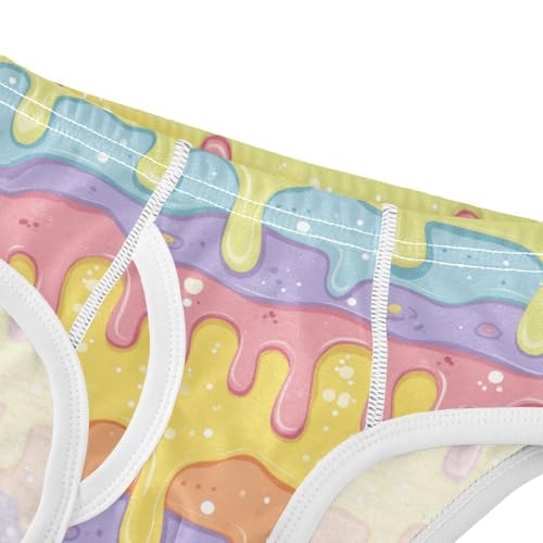 Wusikd Colorful Ice Creams Boys' Underwear Cotton Boys Briefs Soft Toddler Underwear 2T4