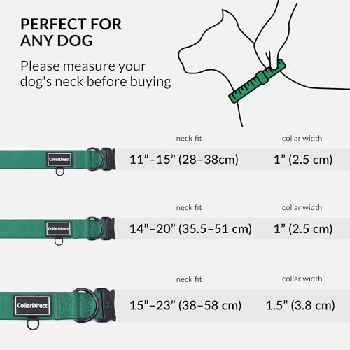 Robustes Hundehalsband für Große & Mittelgroße Hunde – Verstellbar, Doppellagiges Nylon, Metallschnalle, Reißfest & Ideal für Aktive Hunde (Grün, Mittel (36-51 cm))