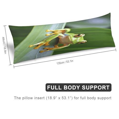 Housse de coussin de corps imprimé grenouille d'arbre fermeture éclair - 3