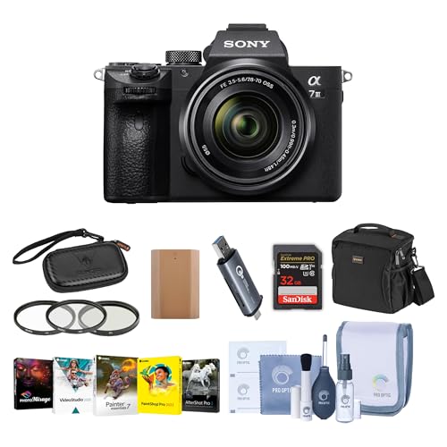 Sony Alpha a7 III 24MP UHD 4K Mirrorless Camera wi Review: Testing Under Pressure