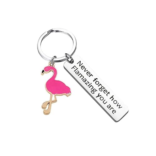 Flamingo Keyring, Inspirational Keyring You Are Amazing Keychain Gifts for Men Women Son Daughter Colleague Families,Stainless Steel Keychain for Christmas Birthday Valentine Graduation Festival Gift