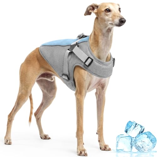Manteau Rafraichissant pour Chien Harnais, Veste Rafraîchissante Chien Harnais de Refroidissement Respirant Dog Cooling Vest, Votre Chien Halète Moins et...