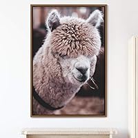 Framed Canvas Wall Art Llama Animals Camels Expressive Farmhouse/Country Living Room Multicolor Photography - 16x24 inches