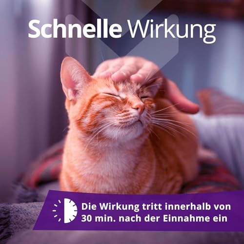 Tropfen Katze Beruhigung, Beruhigungsmittel für katzen, Beruhigung Katze, Baldrian Katze - Anti Stress für Katzen, 100 % Natürlich, 30 ml