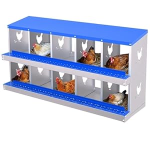 10-Panel Galvanized Steel Nesting Box for Chicken Coop – Removable Drop Tray & Ventilation – Easy Clean Laying Box for Hens, Ducks – Rustproof Design Protects Eggs