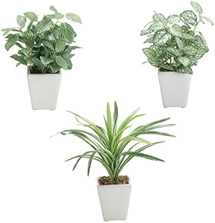 観葉植物 フェイクグリーン ミニポット3種セット 光触媒加工 配送料無料