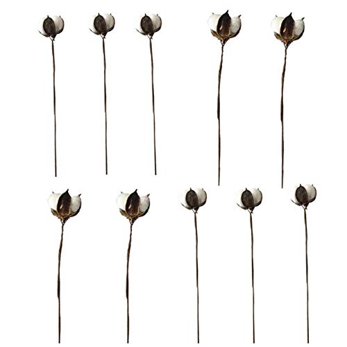  FASSME Pz Set Cotone Artificiale Cotone Bianco Naturale Ramo di Fiori Secchi per La Decorazione di Nozze Mobili Antichi Floreali in Stile Fattoria