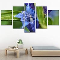 SIGNWIN 5 Panel Canvas Wall Art Botanical Chic Closeup Expressive Multicolor Photography for Home Decorations Ready to Hang - 60