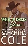 Suspenseful Seduction Publishing