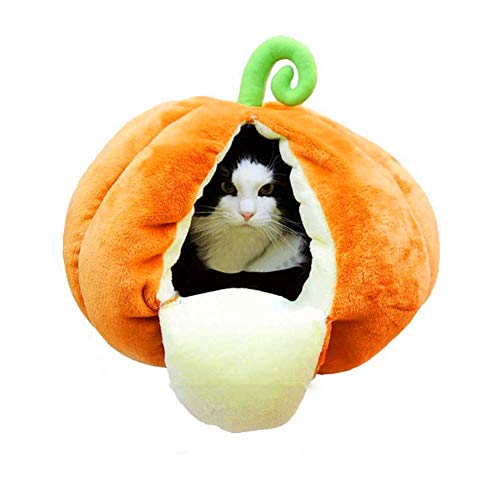 Niche chat cocooning pour petit chien style igloo en velours