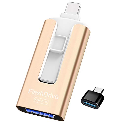 Top 10 Flash Drive For Mac And Ipad of 2022 Savorysights
