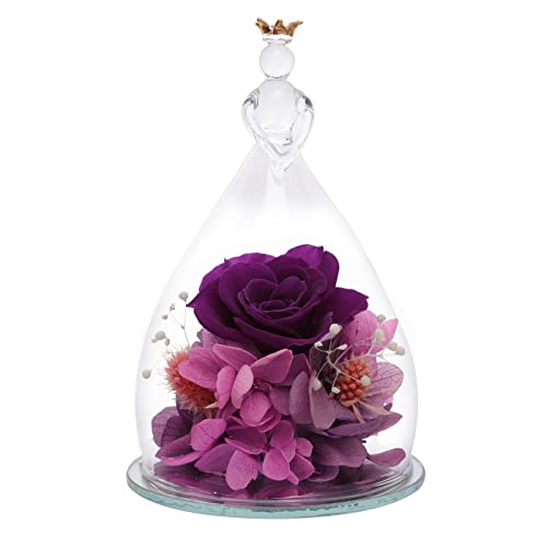Hoomna Weihnachten Rose Geschenk Jungfrau Geburtstag Geschenke für Frauen,Konservierte Echte Rose Blumen,Einzigartige Geschenke für Mutter Freundin Jahrestag,Thanksgiving Geschenk Cover