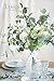 Ling's Moment Artificial Plants 3-Eucalyptus leaves Branches Bouquets,19Pcs 17.5