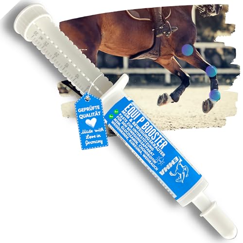 Equi Plus Pferd Die 15 besten Produkte im Vergleich Reiterguide