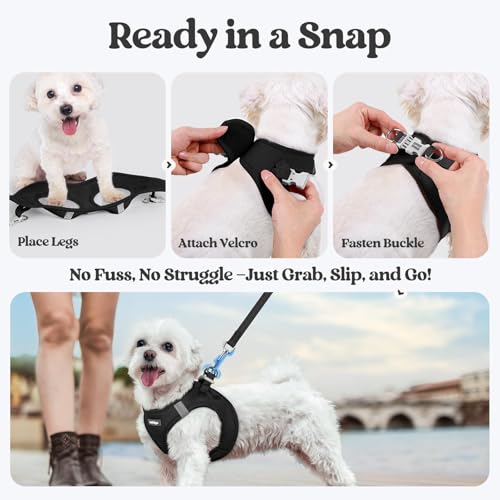 rabbitgoo Step-In Harness & Leash Set (Black, M) — view 8