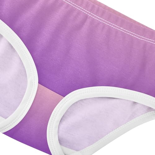 Joisal Blush Pink Purple Gradient Toddlers Underwear Floral 2t Cotton Panties Little Girl Cartoon Briefs Undies Kids4