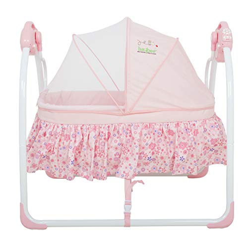 remote control jhula