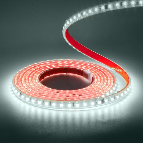 Wisada Striscia LED 220V SMD 2835, 120 LEDs/m, IP65 Impermeabile, Striscia LED Flessibile per Lucernario Soggiorno Decorazione Cucina (Bianco (6000-6500K), 2M)