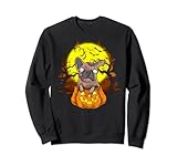 Photo Gallery halloween bulldog francese zombie jack o lanterna cane top regali felpa Photo Gallery halloween bulldog francese zombie jack o lanterna cane top regali felpa