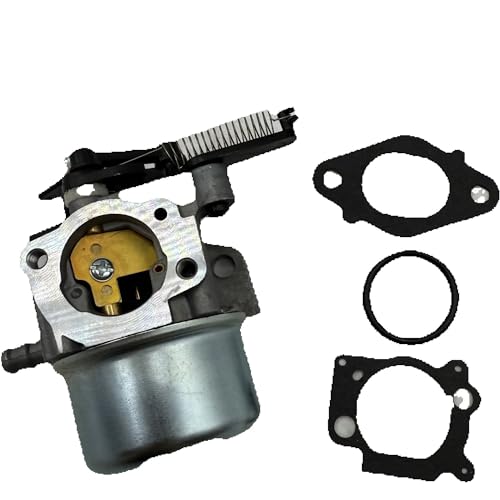 Carburateur de rechange pour réparer le moteur de tondeuse BS 608 775EX