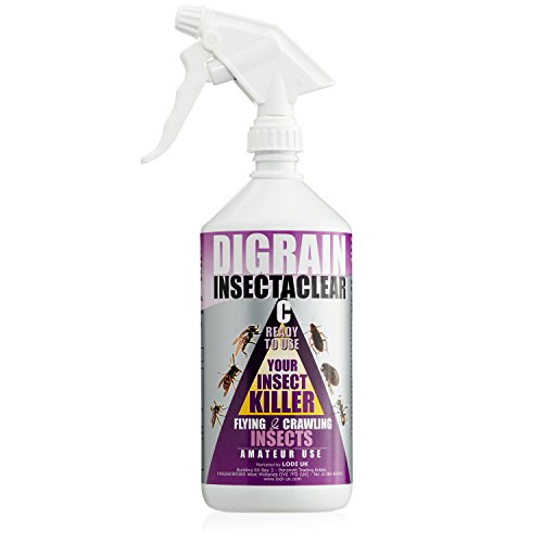 MOTH KILLER KIT for Clothes Moths by MothPrevention Large Infestation