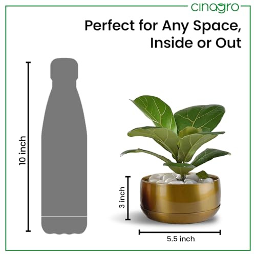 Image of CINAGRO Metal Planter Pot for Indoor Plants, Round Decorative Flower Pot, Rust-Resistant, Modern Plant Holder for Home, Balcony, Office (13.97 x 7.62 cm, Pulse Nest - Gold)