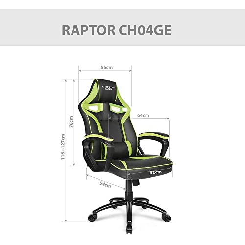 Cadeira Gamer Raptor com Apoio Lombar, Descansa Braços, Ajuste de Altura