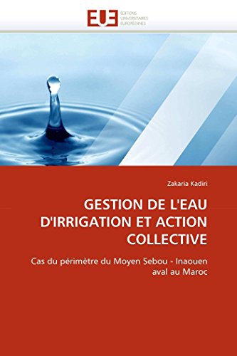 GESTION DE L'EAU D'IRRIGATION ET ACTION COLLECTIVE: Cas du périmètre du Moyen Sebou - Inaouen aval au Maroc (Omn.Univ.Europ.) (French Edition)