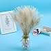 Mwoot 15pcs Plumas de Pavo Real Naturales, para la decoración del hogar...
